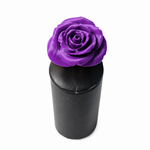 Anello Camelia